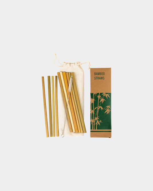 10 Bamboo Straws & Cleaning Brush Set