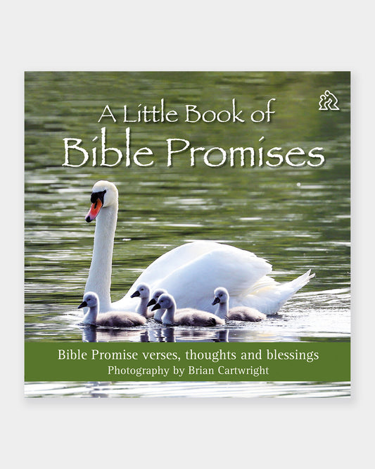 A Little Book of Bible Promises