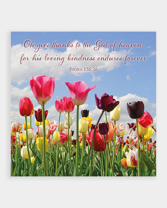 Spring Tulips