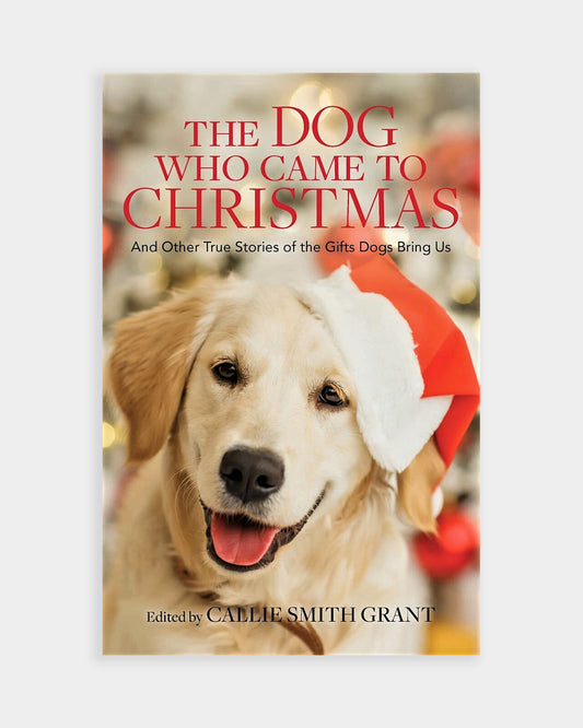 The Dog Who Came To Christmas