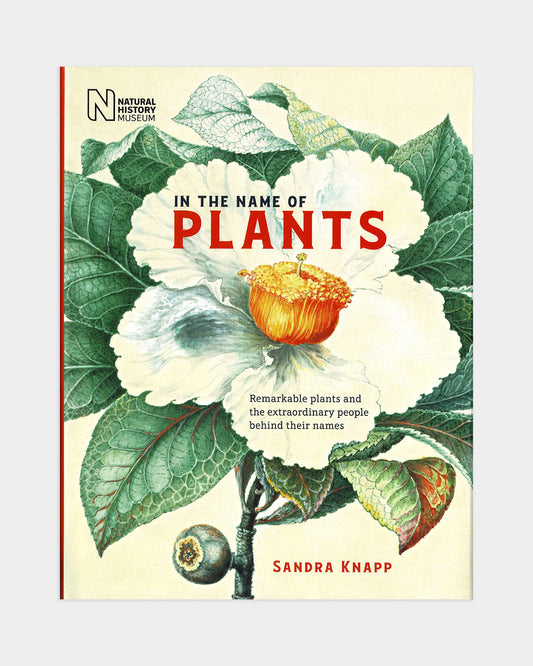 In The Name of Plants