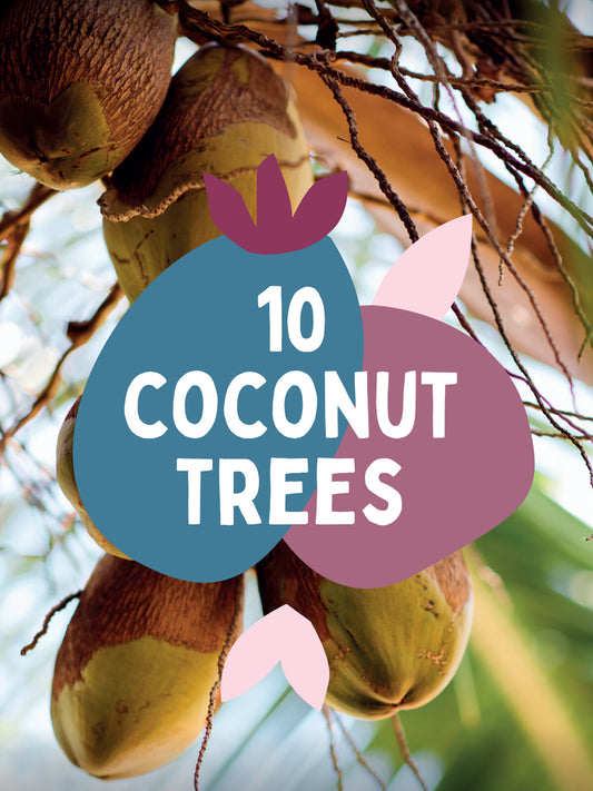 10 Coconut trees