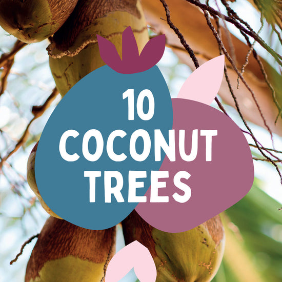 Ten Coconut Trees Gifts for Life charitable gift