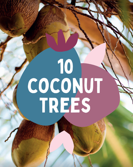 Ten Coconut Trees Gifts for Life charitable gift