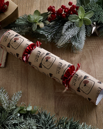 Pet Dog Toy Christmas Cracker