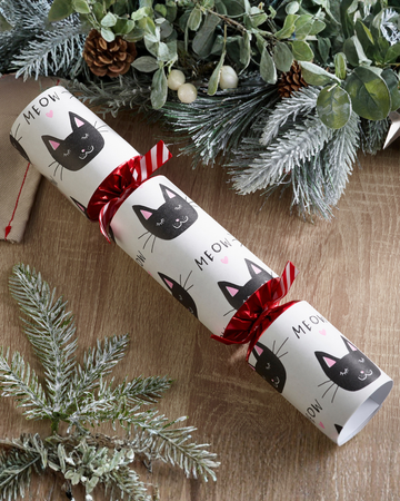 Pet Cat Toy Christmas Cracker