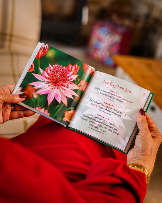 A Bouquet of Promises book