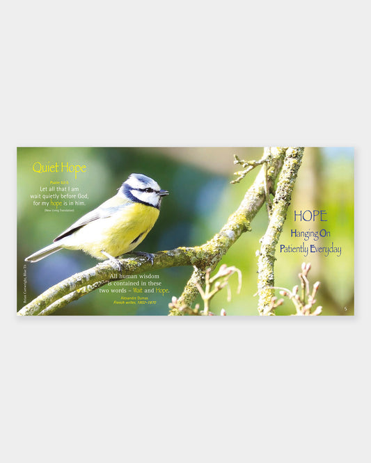 A Little Book of Hope