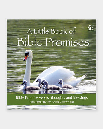 A Little Book of Bible Promises
