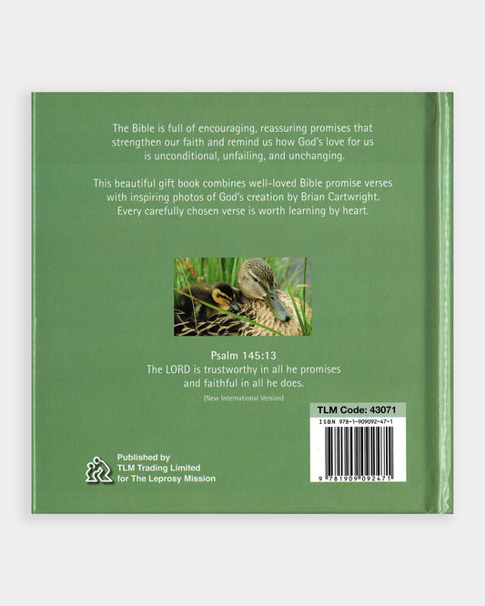 A Little Book of Bible Promises