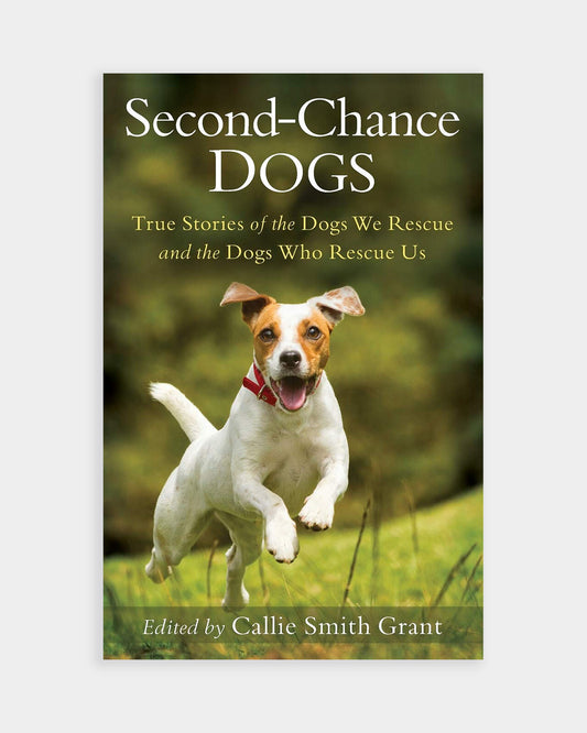 Second Chance Dogs