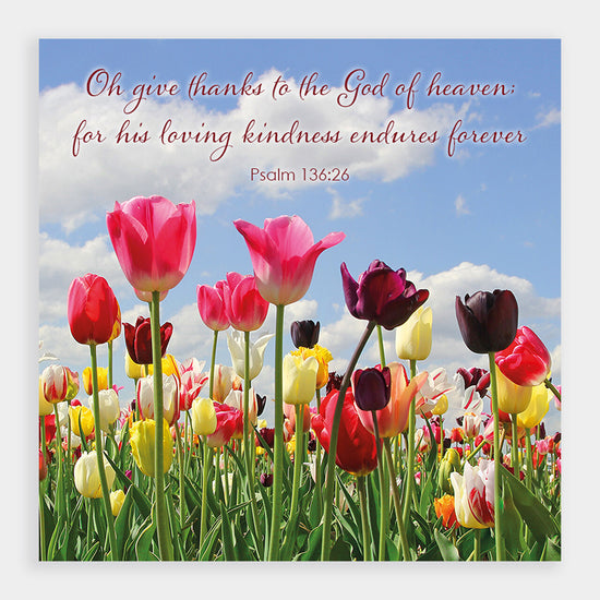 Spring Tulips