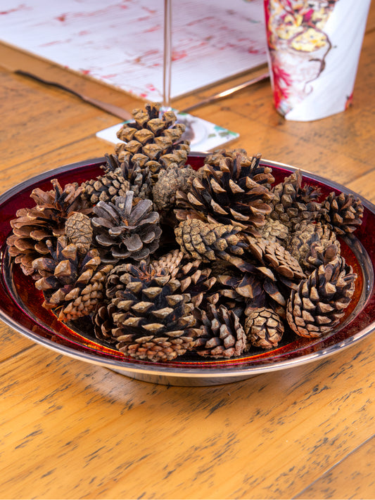 Cinnamon & Orange Pinecones & Oil