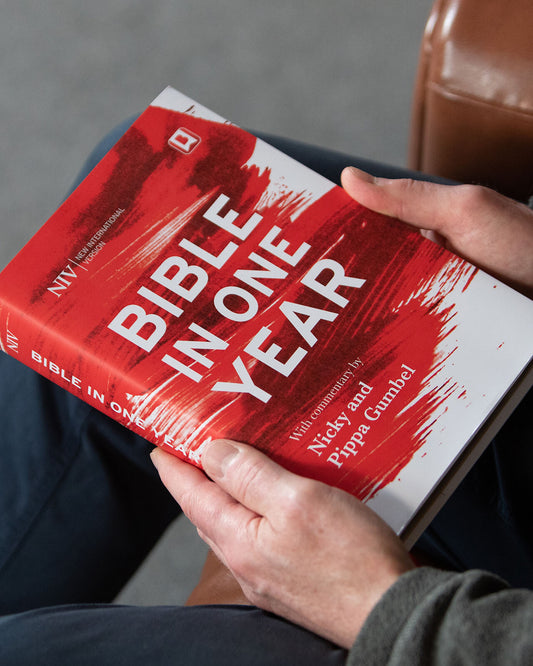 NIV Bible in One Year
