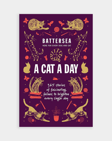 Battersea A Cat a Day