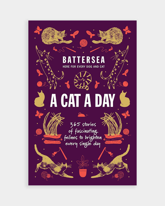Battersea A Cat a Day