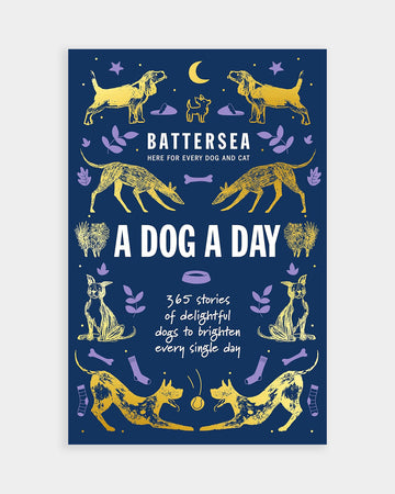 Battersea A Dog a Day