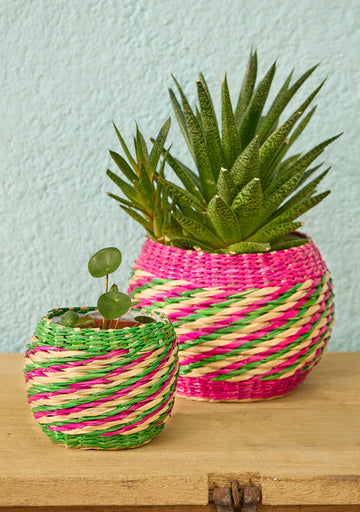 Pink Stripe Seagrass Planter Set