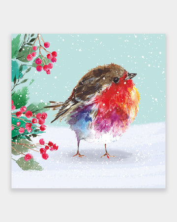 10 Winter Robin Christmas Cards