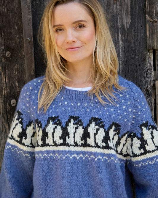 Huddle Of Penguins Jumper