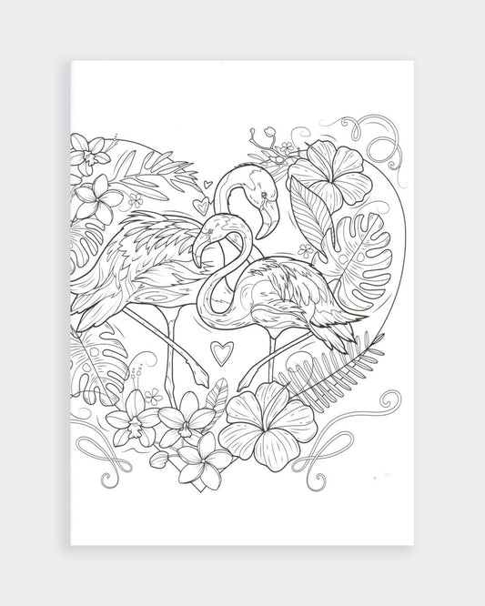 Beautiful Birds Colouring Book