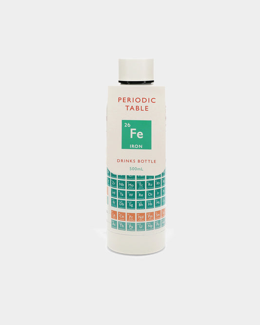 Stainless Steel Bottle
