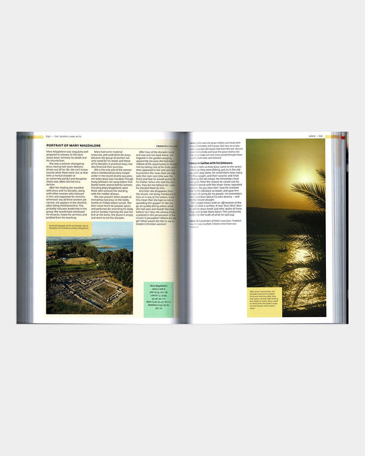 The Lion Handbook to the Bible