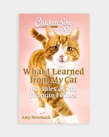 What I Learned from My Cat