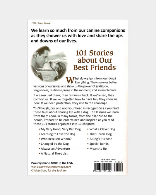 What I Learned from My Cat