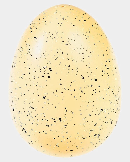 Dinosaur Egg