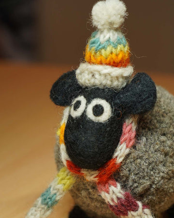 Stuart The Lakeland Sheep