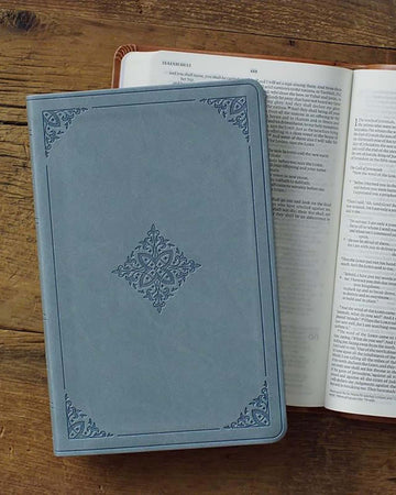 English Standard Version Bible
