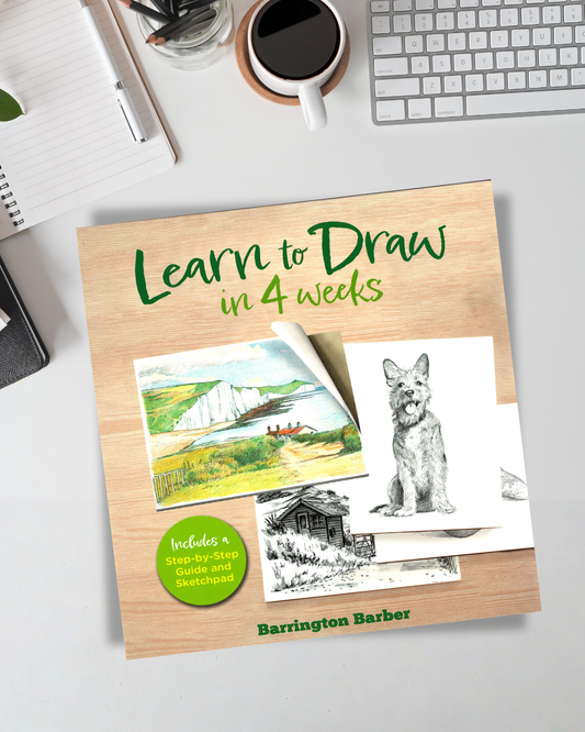 Learn to Draw in 4 Weeks