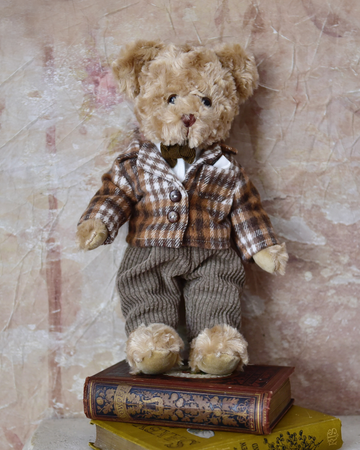 Teddy Wearing Tweed Jacket & Cord Trousers