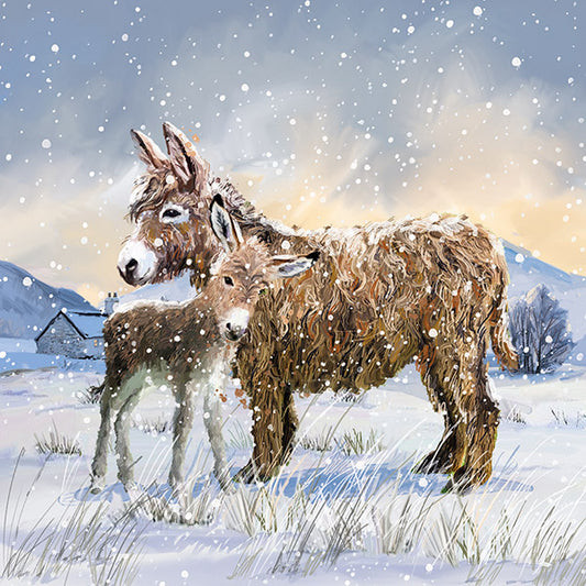 50 Christmas Card assortment - with Bible verse text