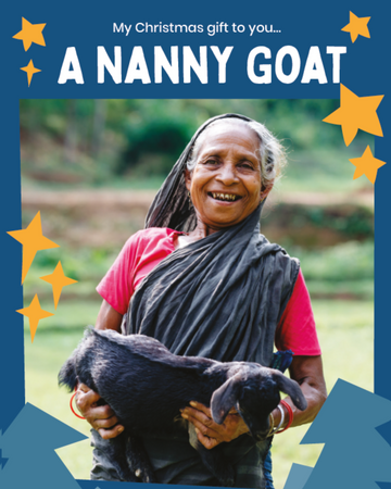 A Nanny Goat Christmas Card