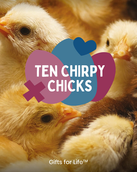 Ten Chirpy Chicks