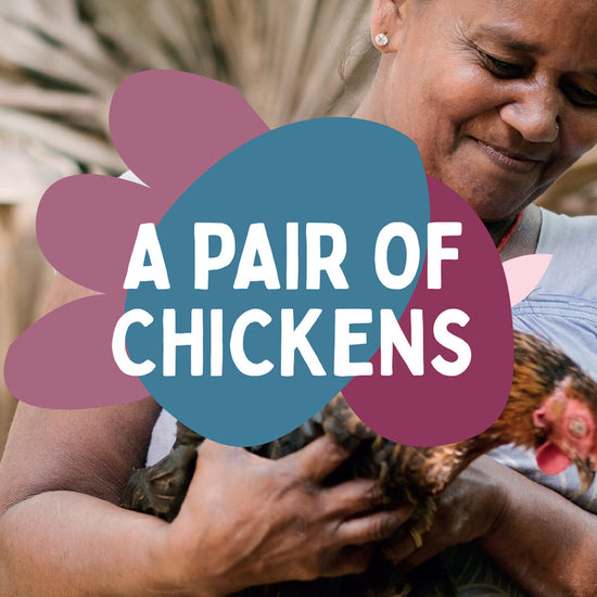 Two Free Range Chickens Gifts for Life charitable gift