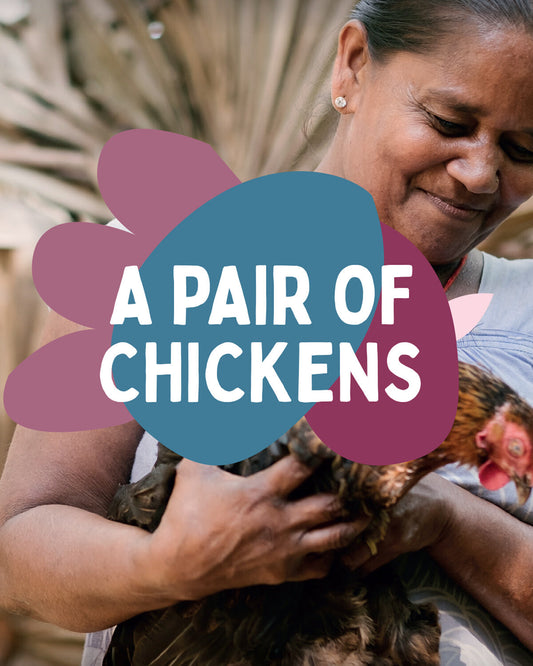 Two Free Range Chickens Gifts for Life charitable gift